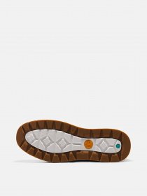 Кеди Timberland Maple Grove модель TB0A5PN4015 Фото