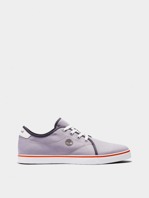 Кеды Timberland Skape Park Canvas VulcOx Basic модель TB0A5U3H050 Фото