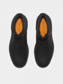 Черевики та чоботи Timberland Arbor Road 6 Inch Waterproof модель TB0A5YMN015 Фото
