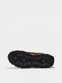 Кросівки Timberland Windsor Park Gore-Tex® Chukka модель TB0A61QH931 Фото