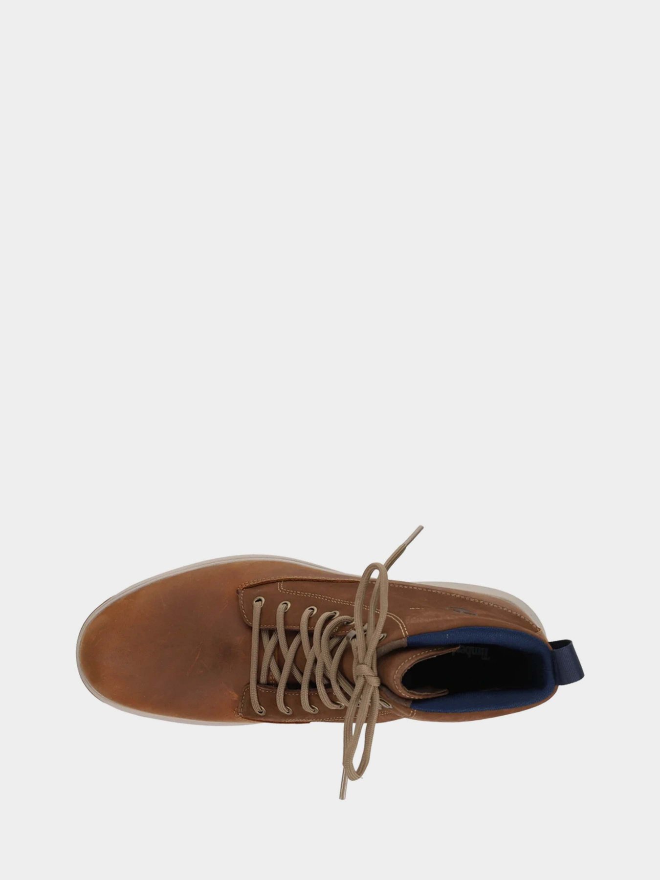 Ботинки и сапоги Timberland Atwells Ave Waterproof модель TB0A43TNF13 Фото
