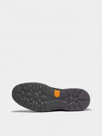 Ботинки и сапоги Timberland Atwells Ave Waterproof Chukka модель TB0A43RC015 Фото