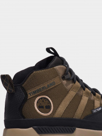 Ботинки и сапоги Timberland Euro Trekker модель TB0A65FG015 Фото