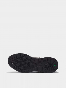 Черевики та чоботи Timberland FIELD TREKKER модель TB0A61ER033 Фото