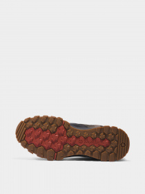 Черевики та чоботи Timberland Mt. Lincoln Mid модель TB0A61HV015 Фото