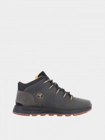 Ботинки и сапоги Timberland SPRINT TREKKER модель TB0A657Z033 Фото