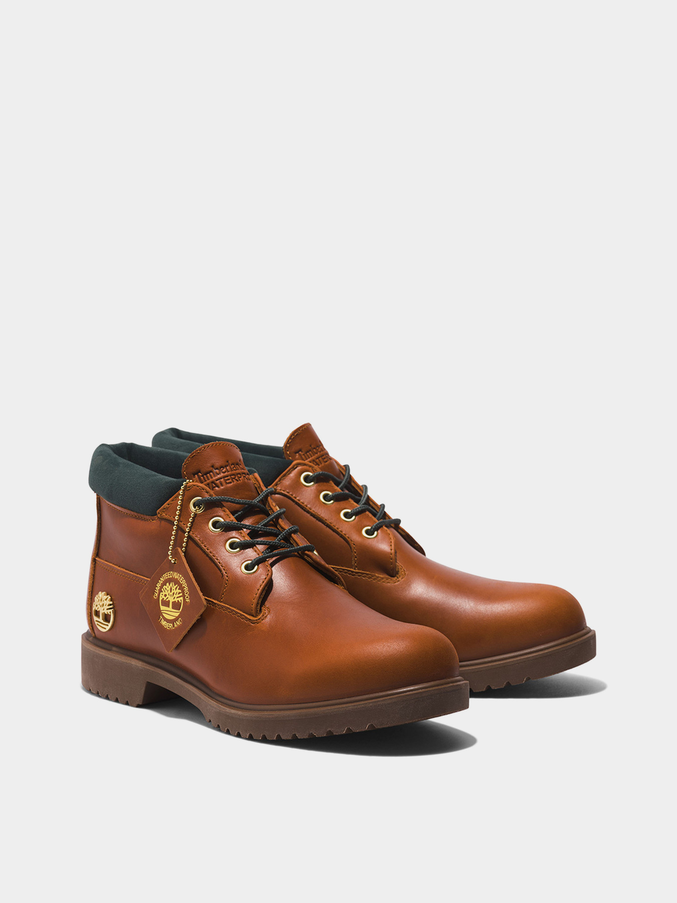 Черевики та чоботи Timberland Newman Waterproof модель TB0A5WJH358 Фото