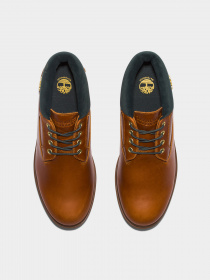 Черевики та чоботи Timberland Newman Waterproof модель TB0A5WJH358 Фото