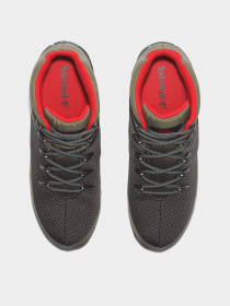 Черевики та чоботи Timberland Euro Sprint Waterproof Hiking модель TB0A5W45EA1 Фото