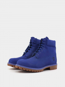 Черевики та чоботи Timberland Premium 6-Inch Waterproof модель TB0A5VE9G58 Фото