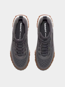 Ботинки и сапоги Timberland GREENSTRIDE MOTION 6 модель TB0A6A98Y55 Фото