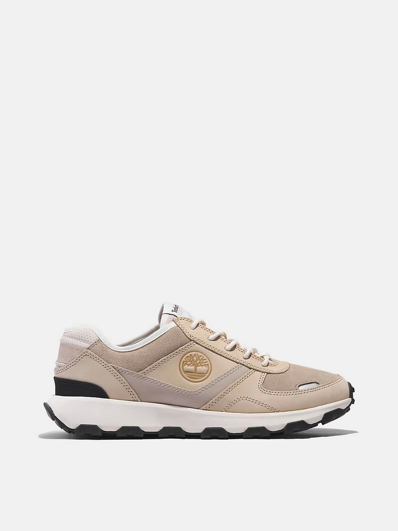 Кроссовки Timberland Winsor Park модель TB0A66PWEN7 Фото