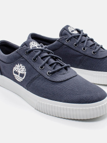 Кеди Timberland Mylo Bay модель TB0A65ZDEP4 Фото