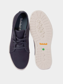 Кеди Timberland Skape Park модель TB0A67H5EP4 Фото