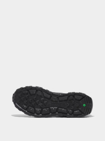 Кроссовки Timberland Winsor Low Lace-Up Waterproof модель TB0A6DH2EK9 Фото