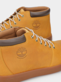 Черевики та чоботи Timberland Ashwood Park модель TB1A2DSC231 Фото