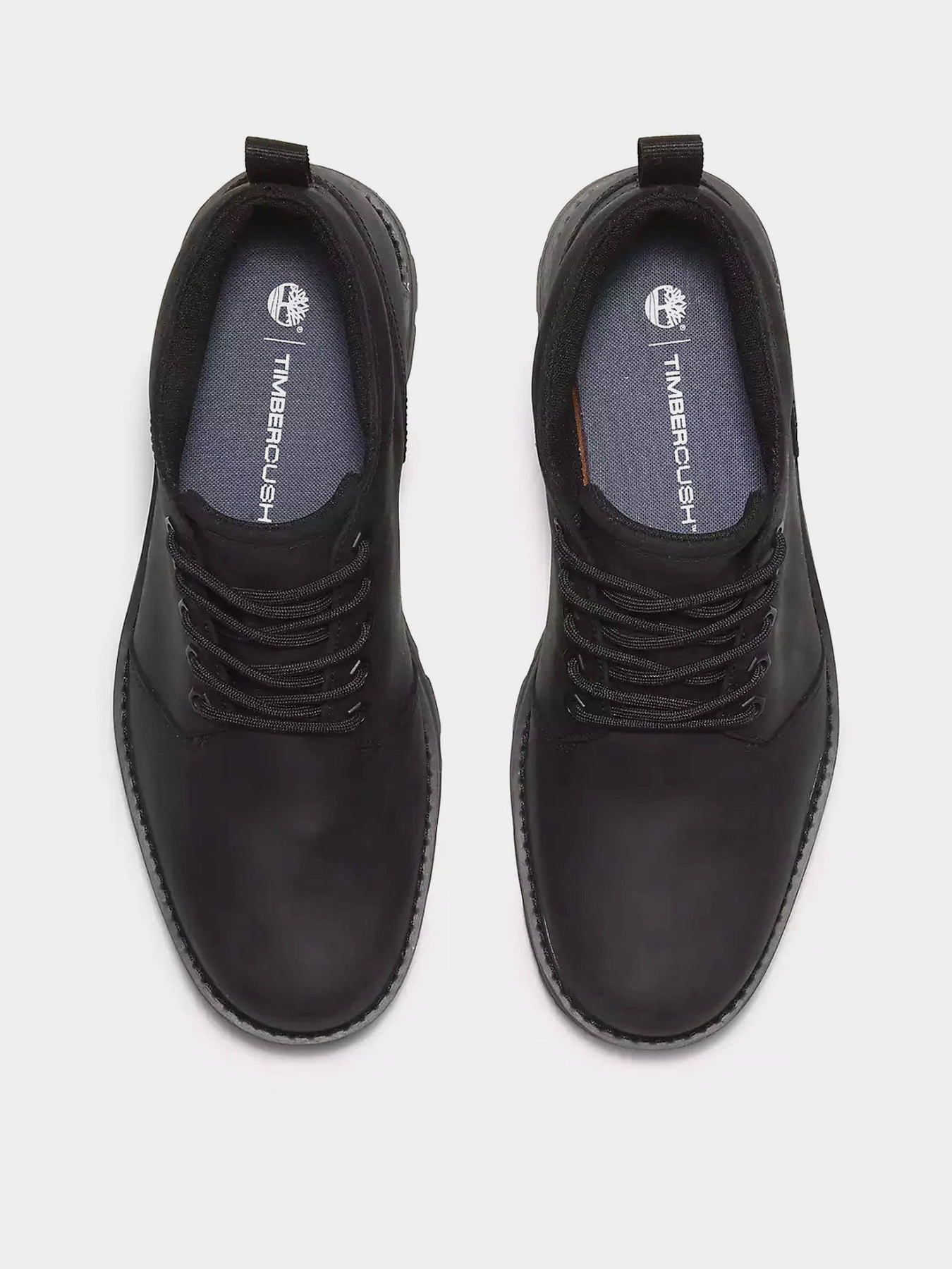 Черевики та чоботи Timberland BRITTON ROAD WATERPROOF модель TB0A69TWW02 Фото