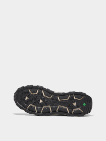 Кросівки Timberland Winsor Low Lace-Up Waterproof Trainer модель TB0A6DH2EO4 Фото