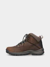 Черевики та чоботи Timberland WHITE LEDGE WATERPROOF модель TB112135214 Фото