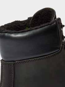 Черевики та чоботи Timberland TIMBERLAND PREMIUM WATERPROOF модель TB1A2E2P001 Фото