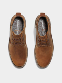 Черевики та чоботи Timberland LARCHMONT WATERPROOF модель TB1A2NF3F13 Фото
