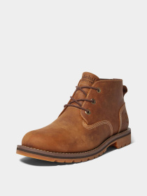 Черевики та чоботи Timberland LARCHMONT WATERPROOF модель TB1A2NF3F13 Фото