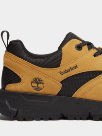 Кроссовки Timberland VOYAGER PARK модель TB0A6DTEEF0 Фото
