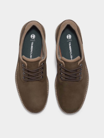 Туфли и лоферы Timberland BRITTON ROAD WATERPROOF модель TB0A69T9W07 Фото