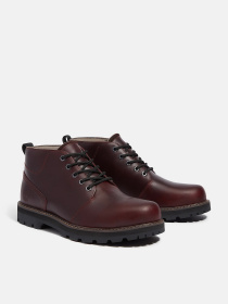 Ботинки и сапоги Timberland BRITTON ROAD WATERPROOF модель TB0A69TWEIW Фото