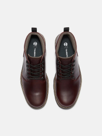 Ботинки и сапоги Timberland BRITTON ROAD WATERPROOF модель TB0A69TWEIW Фото