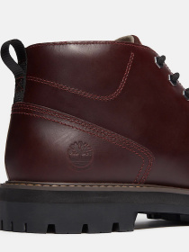 Ботинки и сапоги Timberland BRITTON ROAD WATERPROOF модель TB0A69TWEIW Фото