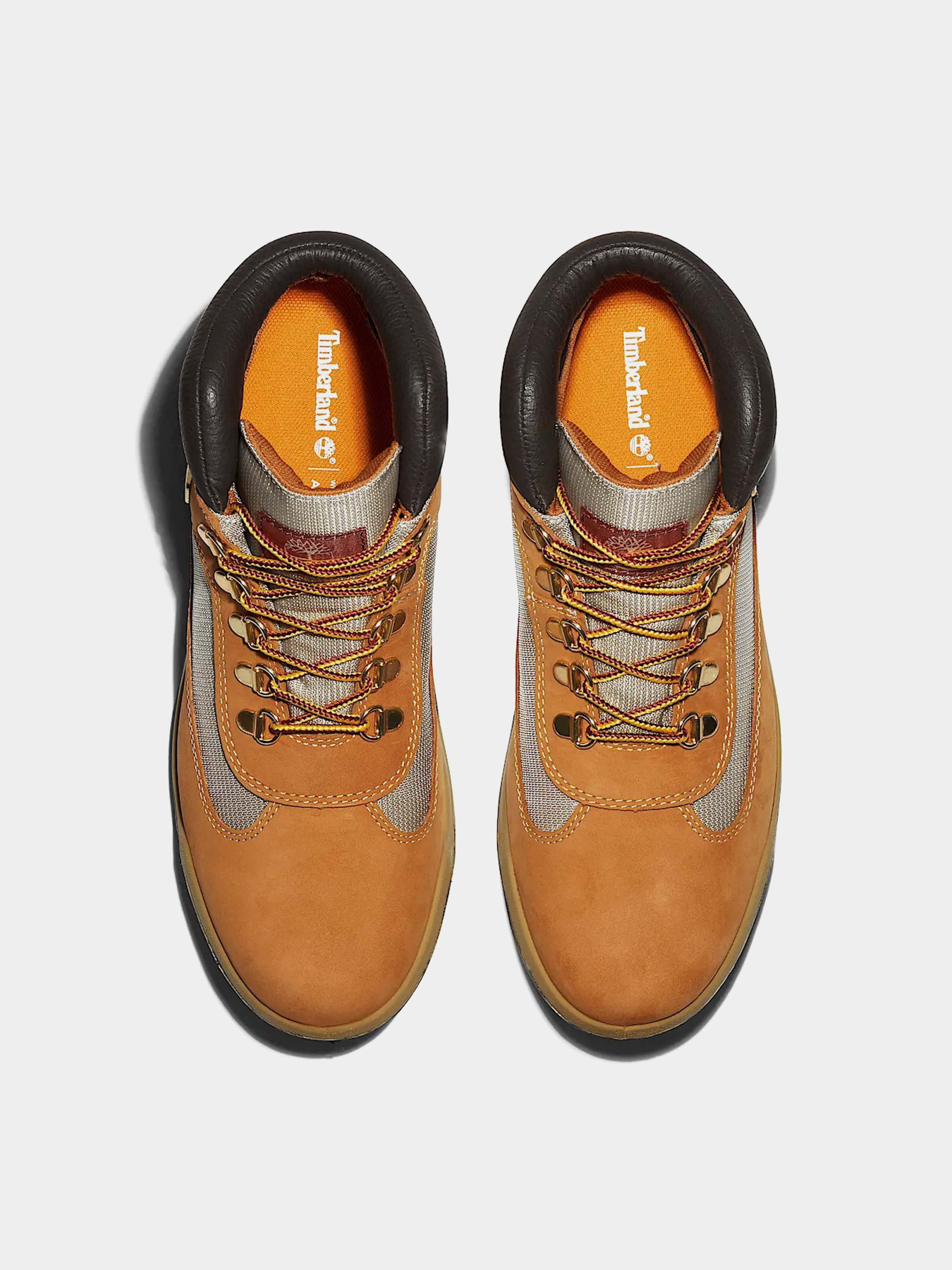 Ботинки и сапоги Timberland FIELD BOOT WATERPROOF модель TB1A18RI231 Фото