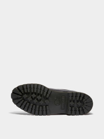 Ботинки и сапоги Timberland TIMBERLAND PREMIUM WATERPROOF модель TB0A2P6WA3L Фото
