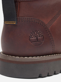 Ботинки и сапоги Timberland LARCHMONT модель TB0A2NGCV13 Фото