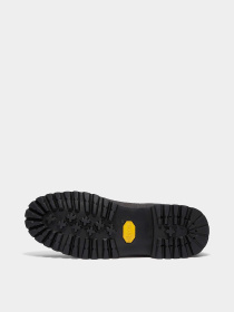 Черевики та чоботи Timberland 6 IN PREMIUM VIBRAM GTX модель TB0A6F8FEEP Фото