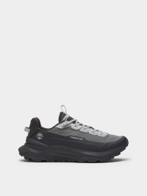 Кроссовки Timberland MOTION ACCESS модель TB0A6F16A1C Фото