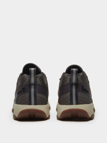 Кросівки Timberland WINSOR TRAIL модель TB0A6DTHAGM Фото