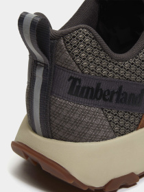Кросівки Timberland WINSOR TRAIL модель TB0A6DTHAGM Фото