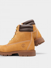 Ботинки и сапоги Timberland Premium 6-Inch Waterproof модель TB0A2MFQ231 Фото