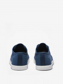 Кеды Timberland Dausette Canvas Oxford модель TB0A2QME288 Фото