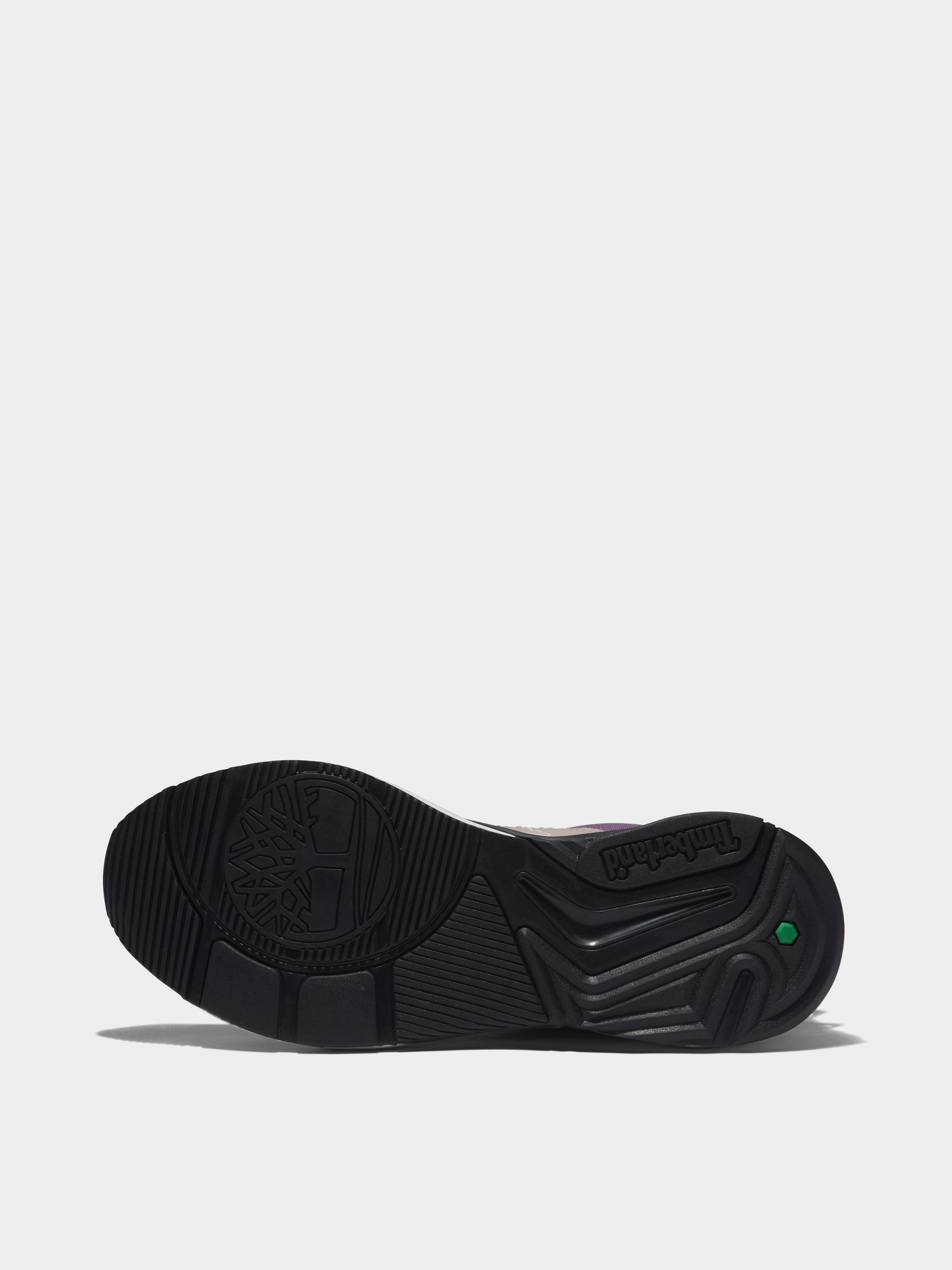 Кросівки Timberland Delphiville модель TB0A5S6WX77 Фото