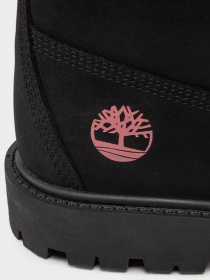 Ботинки и сапоги Timberland 6in Hert Bt Cupsole-W модель TB0A5M24001 Фото