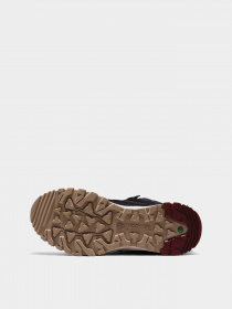 Ботинки и сапоги Timberland Lincoln Peak Lite Waterproof Hiking модель TB0A5PPB015 Фото