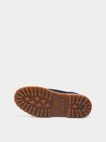 Черевики та чоботи Timberland C.F. Stead™ Indigo Suede Stone модель TB0A62PVEP3 Фото