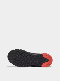 Кросівки Timberland Lincoln Peak Gore-Tex® Low Hiking модель TB0A5PEYEZ3 Фото
