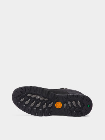 Черевики та чоботи Timberland Women's Mt. Maddsen Winter Waterproof модель TB1A42TW015 Фото