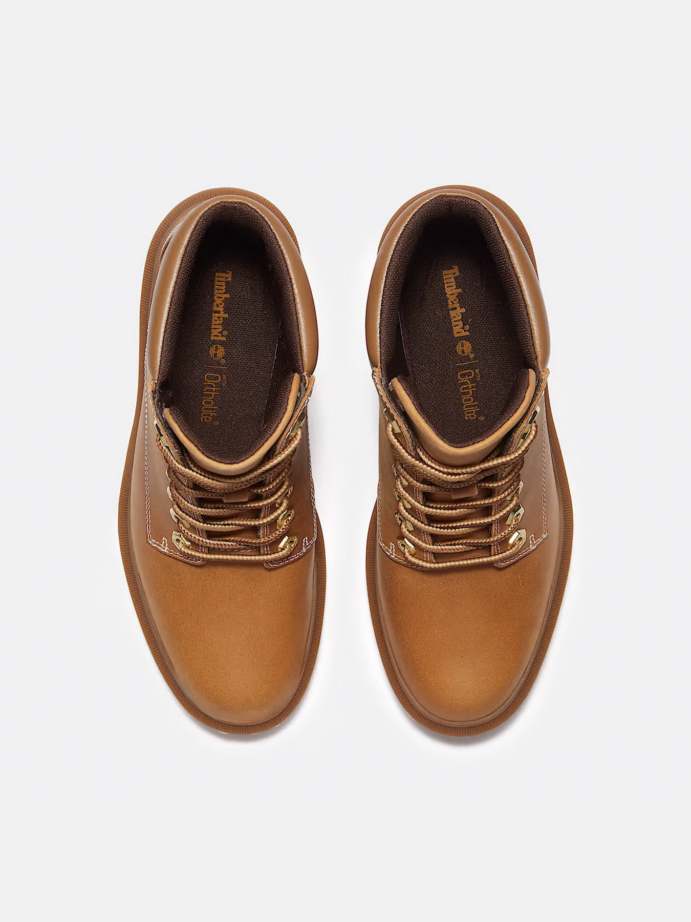 Черевики та чоботи Timberland ALLINGTON HEIGHTS модель TB0A2CKCEN1 Черевики та чоботи Timberland ALLINGTON HEIGHTS модель TB0A2CKCEN1 Фото