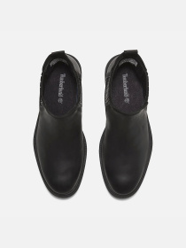 Ботинки и сапоги Timberland BRIMFIELD модель TB0A2PBBW02 Фото