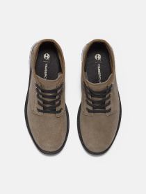 Ботинки и сапоги Timberland CAMBRIA VALLEY модель TB0A42B8EJR Фото
