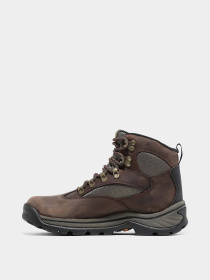 Ботинки и сапоги Timberland CHOCORUA GTX модель TB115631242 Фото